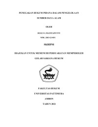 Image of Penegakan Hukum Pidana Dalam Pengelolaan Sumber Daya Alam