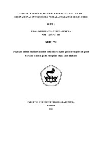 Image of Sengketa Hukum Penggunaan Non Navigasi Jalur Air Internasional Antar Negara Perbatasan (Kasus Bolivia-Chile)