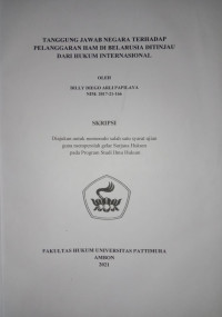 Image of Tanggung Jawab Negara Terhadap Pelanggaran HAM Di Belarusia Ditinjau Dari Hukum Internasional