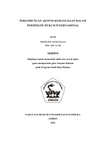 Image of Perlindungan Aktivis Kemanusiaan Dalam Perspektif Hukum Internasional