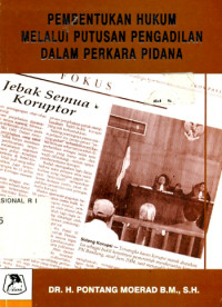 Image of Pembentukan Hukum Melalui Putusan Pengadilan Dalam Perkara Pidana